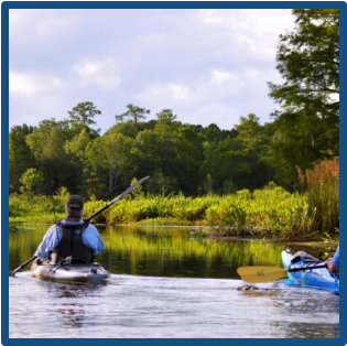 Blackwater swamp tours near Mt. Pleasant with amazing wildlife, beautiful marsh, plantations