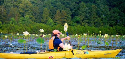 Kayak nature tours on Lake Moultrie colorful flowers near Charleston SC