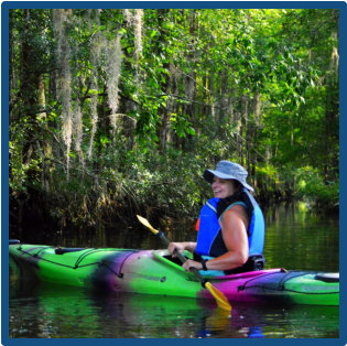 Kayak Scenic Ashley River Summerville-Blackwater Tour with grand Live Oaks, Bald Eagles, marsh grasses