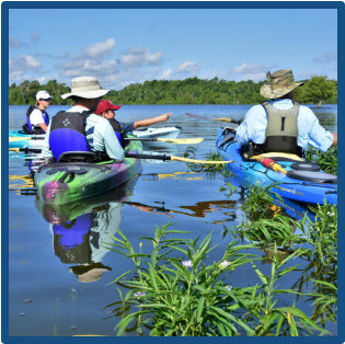 Paddle Santee, Lake Marion for wildlife nature tours with lowcountry history