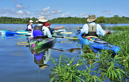 Paddle Santee, Lake Marion for wildlife nature tours with lowcountry history